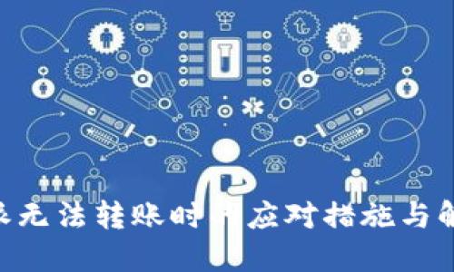 当B特派无法转账时的应对措施与解决方案