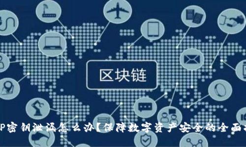 BitP密钥泄漏怎么办？保障数字资产安全的全面指南