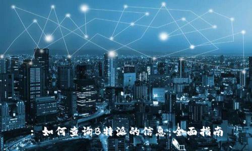 : 如何查询B特派的信息：全面指南