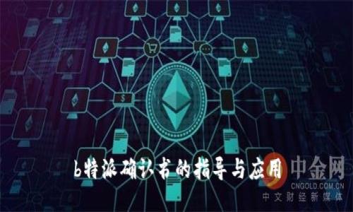 b特派确认书的指导与应用