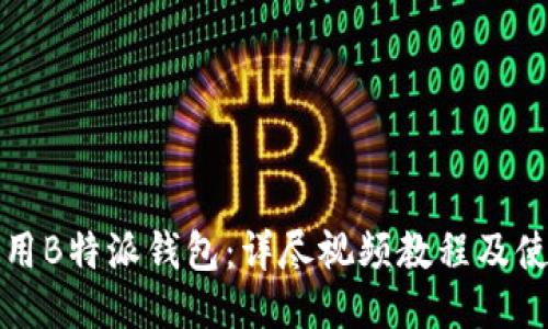 如何使用B特派钱包：详尽视频教程及使用技巧