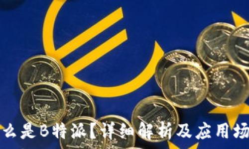   
什么是B特派？详细解析及应用场景