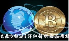   什么是B特派？详细解析及应用场景