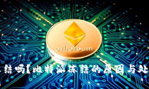 比特派会冻结吗？比特派冻结的原因与处理方法详解