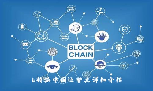 b特派中国运营点详细介绍