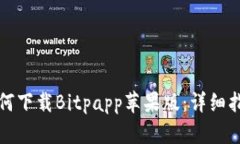 如何下载Bitpapp苹果版：详细指南