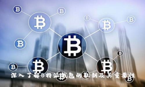 深入了解B特派钱包的私钥及其重要性