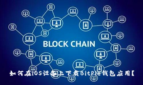 如何在iOS设备上下载BitPie钱包应用？