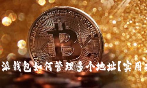 b特派钱包如何管理多个地址？实用指南