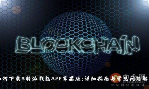 如何下载B特派钱包APP苹果版：详细指南与常见问题解答