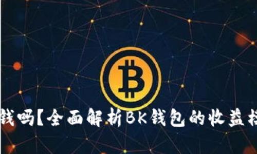 BK钱包赚钱吗？全面解析BK钱包的收益模式和风险