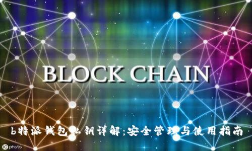 b特派钱包私钥详解：安全管理与使用指南