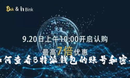 如何查看B特派钱包的账号和密码