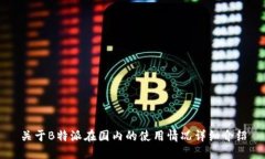 关于B特派在国内的使用情况详细介绍