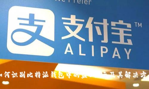 如何识别比特派钱包中的盗U提示及其解决方案