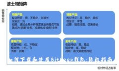 如何下载和使用BitKeep钱包：终极指南