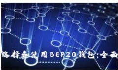 如何选择和使用BEP20钱包：全面指南