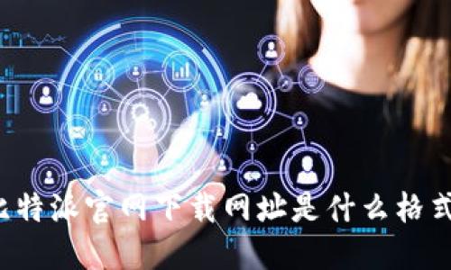 比特派官网下载网址是什么格式？