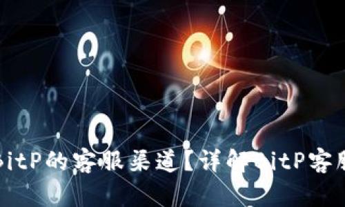 如何寻找BitP的客服渠道？详解BitP客服获取方式