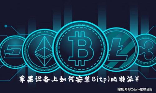 苹果设备上如何安装Bitp（比特派）