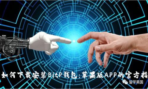 : 如何下载安装BitP钱包：苹果版APP的官方指南