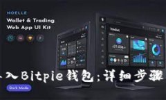 如何导入Bitpie钱包：详细步骤与指南
