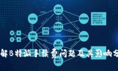 了解B特派手续费问题及其影响分析