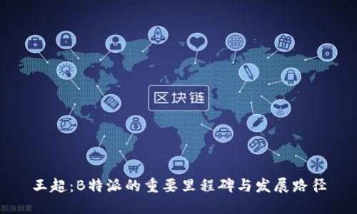 王超：B特派的重要里程碑与发展路径