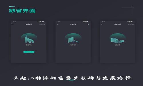 王超：B特派的重要里程碑与发展路径