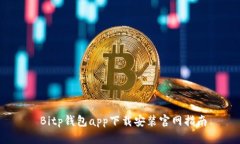  Bitp钱包app下载安装官网指南