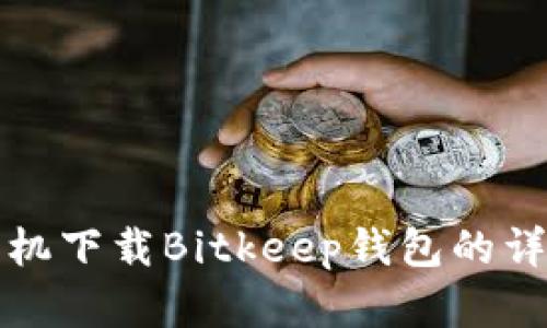 安卓手机下载Bitkeep钱包的详细指南
