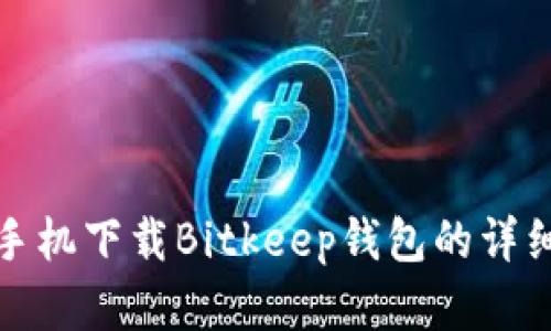 安卓手机下载Bitkeep钱包的详细指南