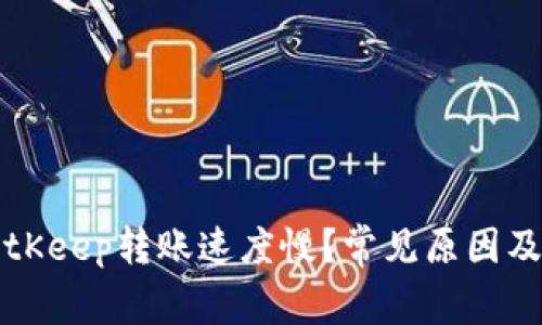 为什么BitKeep转账速度慢？常见原因及解决方案