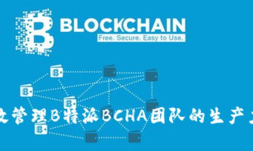 怎样有效管理B特派BCHA团队的生产力和绩效