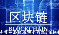 SC币可以存放在哪个钱包？详细指南