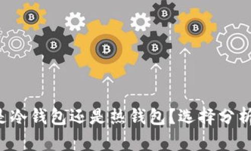 思考一个和

b特派钱包是冷钱包还是热钱包？选择分析与使用指南