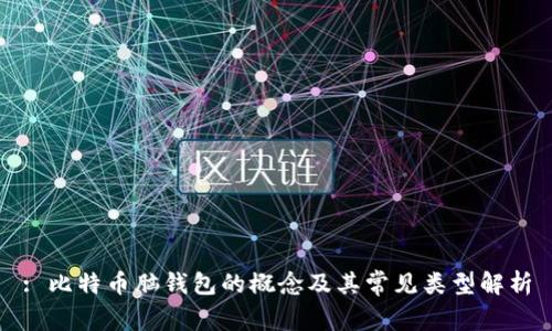 : 比特币脑钱包的概念及其常见类型解析