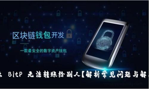 为什么 BitP 无法转账给别人？解析常见问题与解决方案