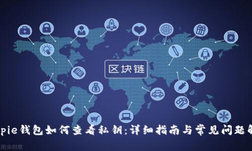 Bitpie钱包如何查看私钥：详细指南与常见问题解答