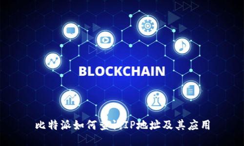 比特派如何查询IP地址及其应用