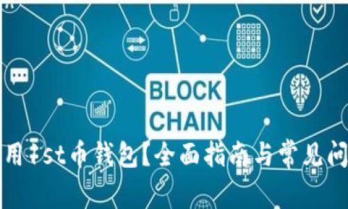 如何使用1st币钱包？全面指南与常见问题解答
