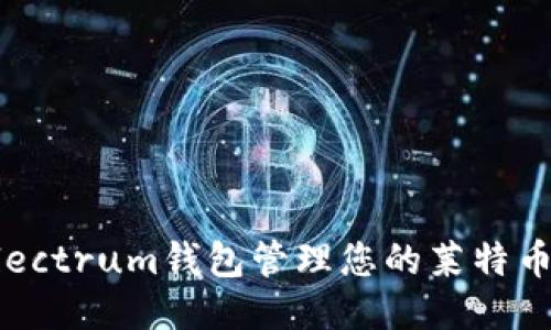 如何使用Electrum钱包管理您的莱特币（Litecoin）