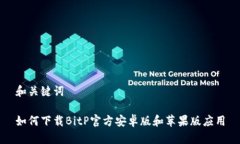 和关键词如何下载BitP官方安卓版和苹果版应用