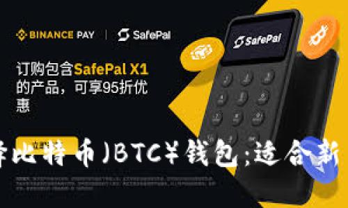 如何选择比特币（BTC）钱包：适合新手的指南