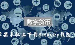 如何在苹果手机上下载Bitkeep钱包：详细指南