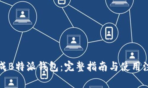 如何生成B特派钱包：完整指南与使用注意事项