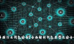 币圈什么钱包安全？全面解析钱包类型及安全性
