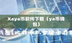什么是离线钱包？比特币现金安全存储的最佳选