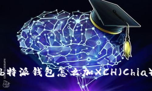 b特派钱包怎么加XCH（Chia）