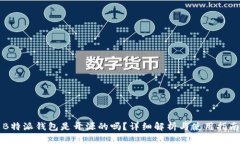 B特派钱包是开源的吗？详细解析与使用指南
